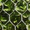 Hexagonal Wire Netting Price