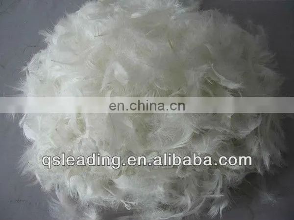 White Washed Duck Feather For Filling