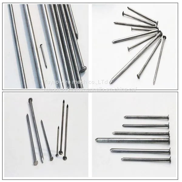 YuYao Factory Supply Iron Nail With Best Price photo-5