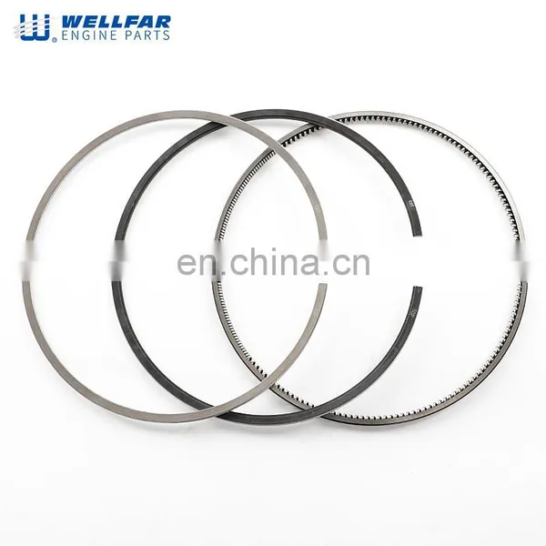 New Arrival Excavator Engine Parts DS 9.04 Piston Ring 115 mm 06163N0 With Phosphatized photo-3