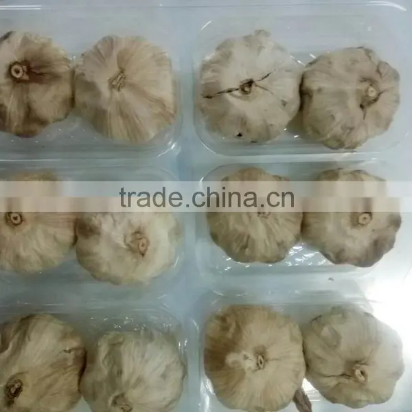 2016 Black Garlic for Export photo-3
