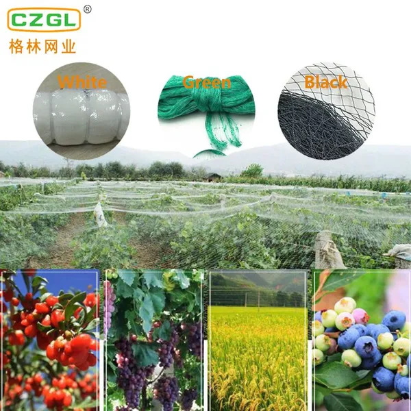 Anti-bird Net China Supplier,Bird Netting 50' X 50' Net Netting For Bird Poultry Avaiary Game Pens New photo-5