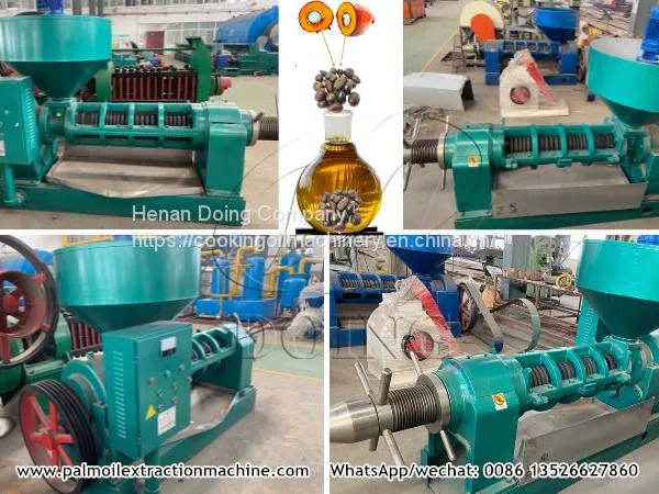 Good Feedback Palm Kernel Oil Making Machine Palm Kernel Oil Mill Plant Small Scale Palm Kernel Oil Crushing Machine photo-5