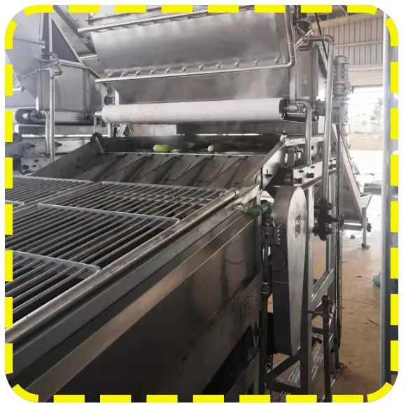 Sweet Canned Corn Steam and Electric Heating Canned Vegetable Production Line photo-3