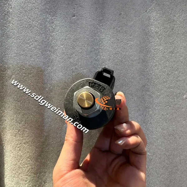Hyundai M-Solenoid VIv Assy(Withcoil) KKCH-00022 for Hyundai Excavator R160LC-9 photo-5