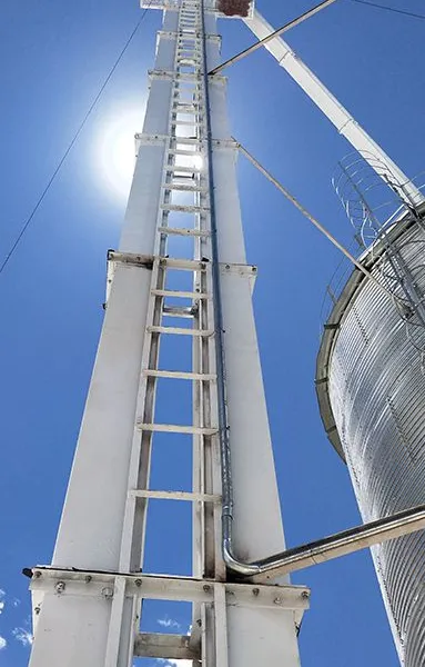 High Efficiency Bucket Elevator for Grain Handling and Bulk Material Conveying photo-5