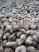 Suvimie Ceylon Ovened Cashew (Full Nut) photo-2