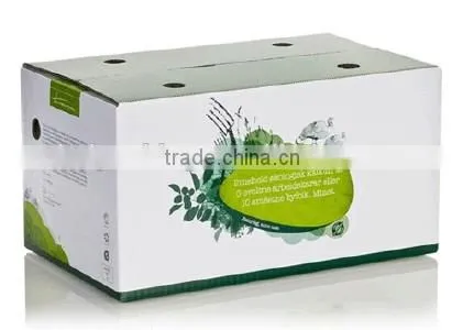 Wholesale Apple Fruit Packaging Box for Shippping Supplier's Choice photo-6