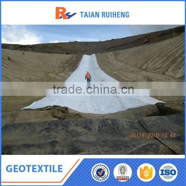 Eco-Friendly Non Woven Pet Geotextile Felt Factory photo-2