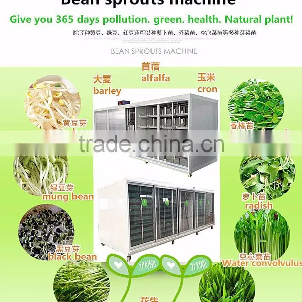 Barley Sprout/radish Sprout Machine photo-5