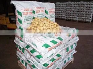 10kg to 25kg Bagging Machine for Potatoes photo-3