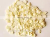 Chinese Guangzhong Blanched Apricot Kernels Flakes photo-4