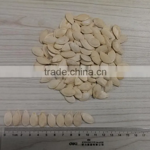 Yummy Food Sell Pumpkin Seed