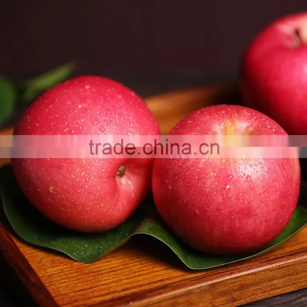 2016 New Crop Gansu Tianshui Huaniu Apple