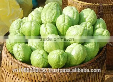 Frozen Chayote Whole