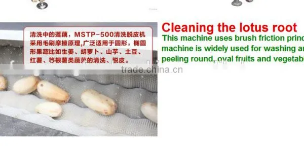 MSTP-500 Automatic Electric Ginger Washing and Peeling Machine photo-4