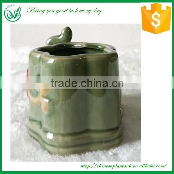 Lucky Bamboo Animal Shape Flower Pot photo-3