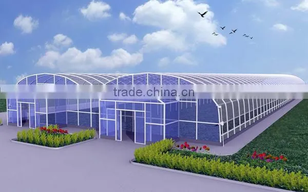Hot-Dip Galvanized Steel Pipe Frame And 150mm PE Film Covered Multi-Span Greenhouse For Vegetables photo-6