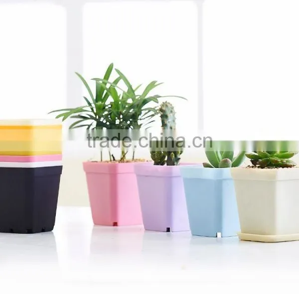 Plastic Colorful Small Square Flower Pots Without Pallet -3 Inch photo-2