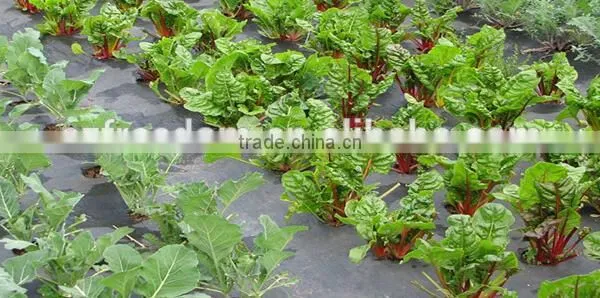 pp Weed Mat Ground Cover Fabric photo-5