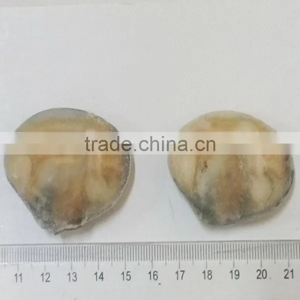 Frozen Cooked Baby Clam Size 31-40 photo-2