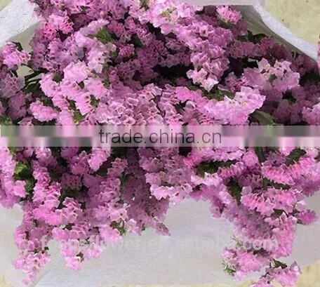 First Class Pink Statice Export Without Middleman For Home Decoration photo-3
