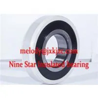 6026/C3VL0241 Insulated Bearing