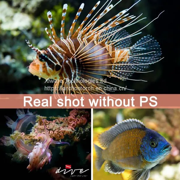 ARCHON WM66 Diving Video Light Underwater Video Flashlight 12000 Lumens Diving Torch COB Dive Lampp photo-5