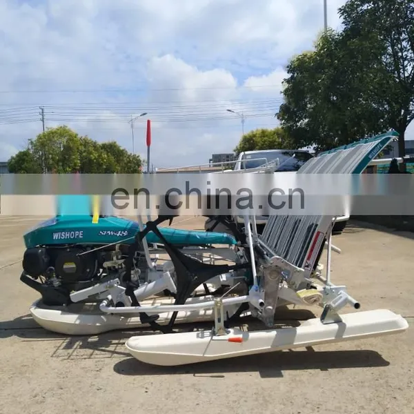 in India 6 Row Hand Walking Type Rice Manual Seedling Transplanter photo-6