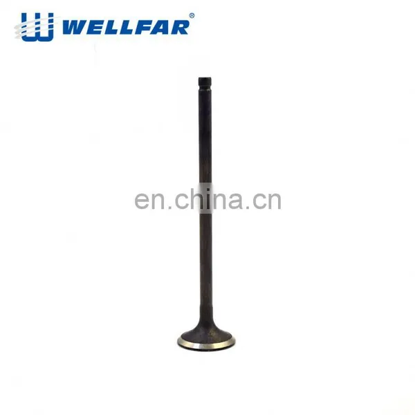R19 Auto Engine Valve for SYMBOL/CLIO 1.4 photo-5