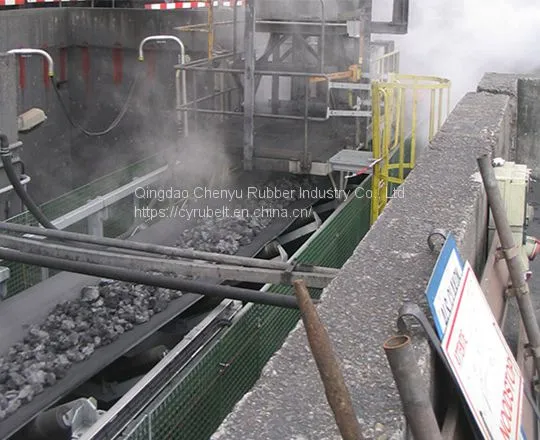 Heat Resistant Conveyor Belt / EP Conveyor Belt/ Conveyor Belt photo-3