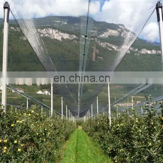 100% Virgin HDPE Apple Tree Plastic Anti Hail Net For Agriculture photo-2