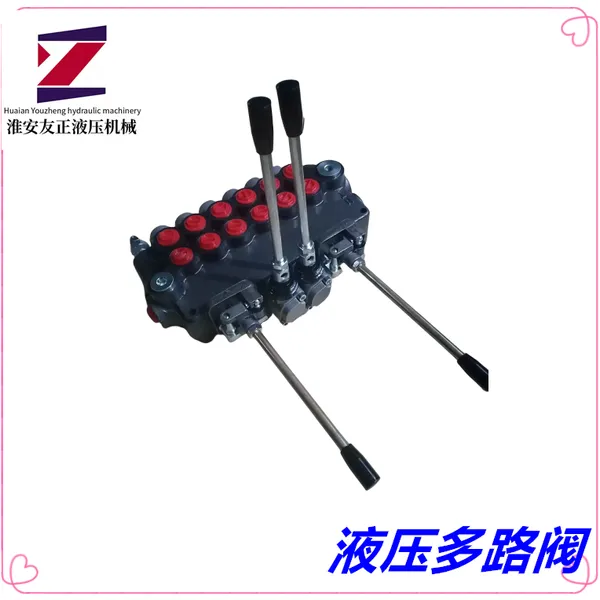 DCV100-OT-J With High Pressure Series Interface Multiple Directional Valve and High Pressure Distributor ZM100M-OT-J photo-5
