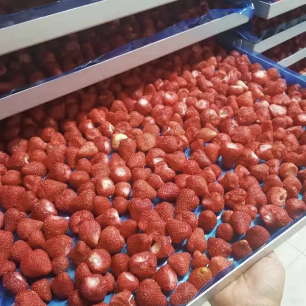 Pure Nature Organic Freeze Dried Strawberry photo-5