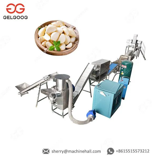 Machinery For Ginger Garlic Paste Making Ginger Garlic Paste Making Machine Price