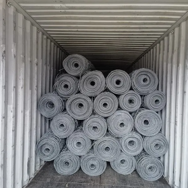 HR20 Reinforced Hexagonal Mesh Barrier Netting Galvanized Steel Plain Weave Woven Slope Security Rock Falling Protection Cutting photo-4
