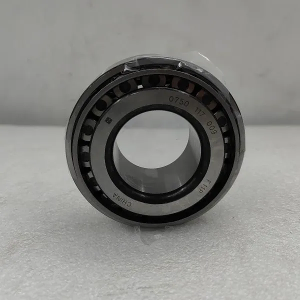 ZFL Gearbox Bearings 0750117009 Bearing 0750 117 009 photo-4