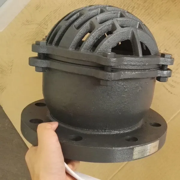 Cast Iron Check Valve, Diesel Engine Gasoline Engine Water Pump Flange Lifting Foot Valve photo-6