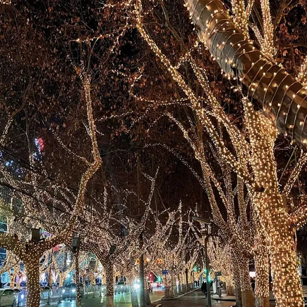 Led Waterproof Light Strings for Tree Decoration, Ambiance Lighting, and Christmas Outdoor Decorations photo-4