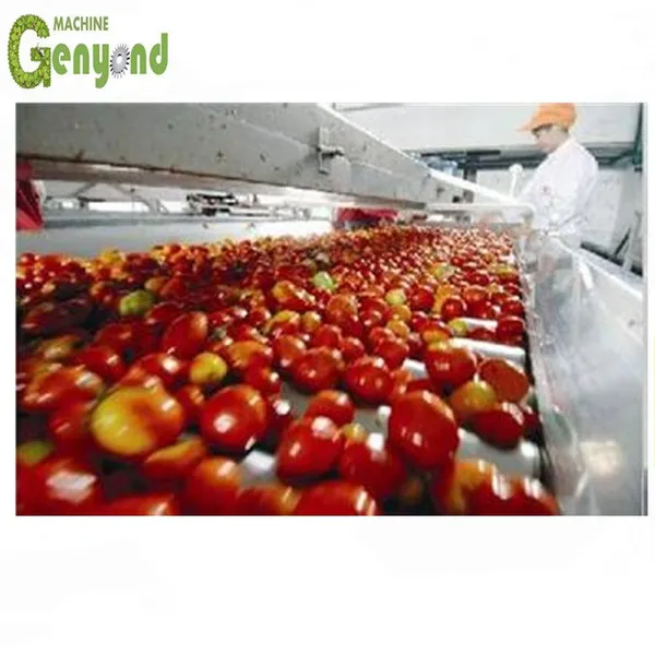 Industrial Tomato Paste Small Plant Low Cost Italian Tomato Paste Maker Small Scale Tomato Paste Making Machine