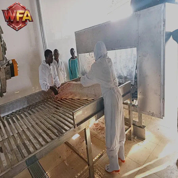 Automatic Beef Slaughtering Plant Machine Meat Processing Line Cattle Killing Equipment Factory Direct Price CE ISO photo-4