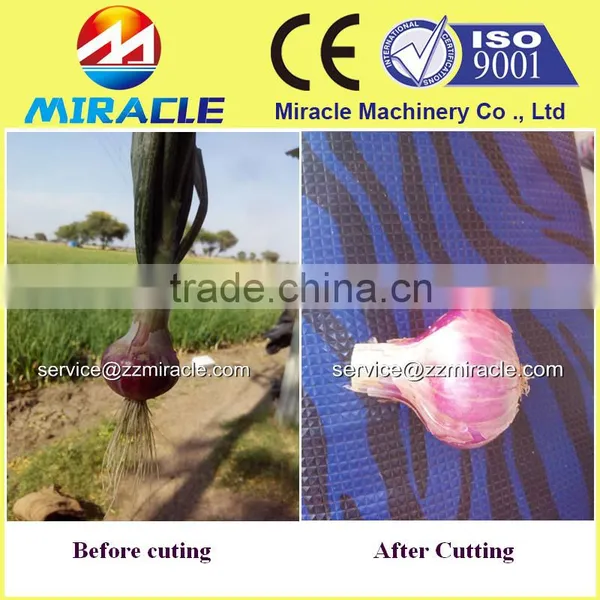 Cheap Price Fresh Garlic Roots Cutting Machine/roots Cutter/root Removing Machine photo-3