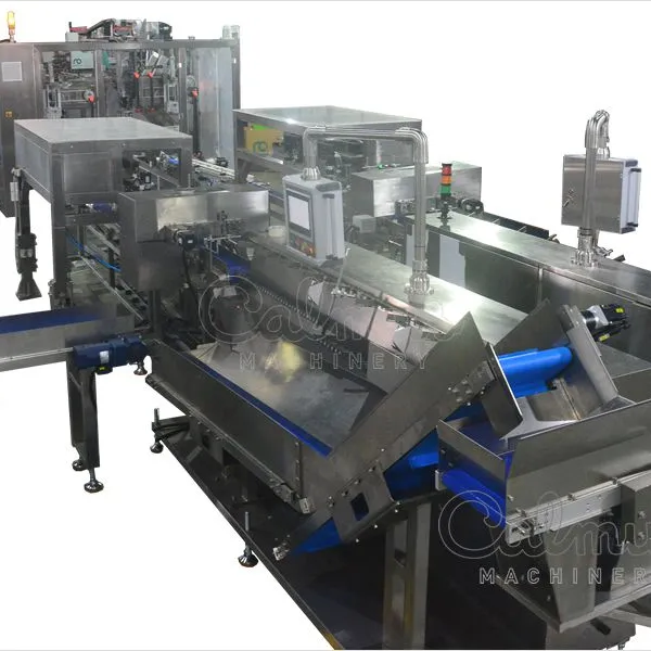 Case Packer for Spouted Stand-Up Pouches - Complete Line