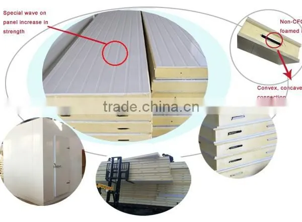 Blast Chillers for Fruits, Vegetables,medicine,food,ice,milk,egg,meat,etc. photo-2