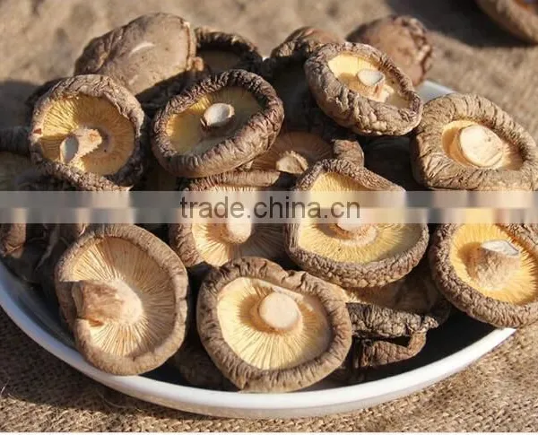 Shiitake Mushroom From Yunnan photo-2