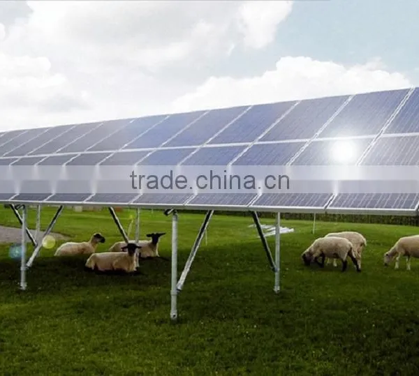 Ground Screw Pile/solar Ground Screw/solar Ground Anchor photo-6
