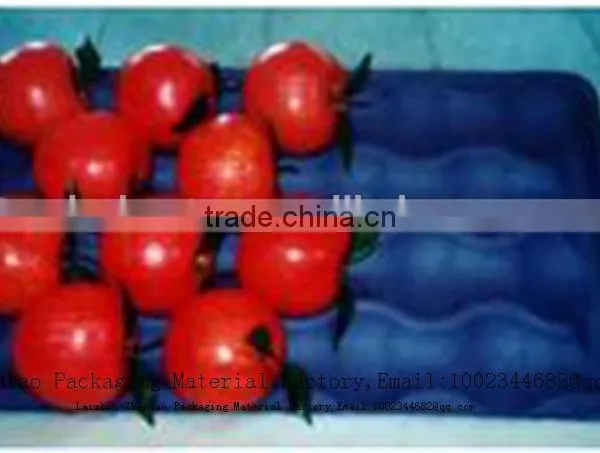 Fruit Plastic Packaging Tray Customized Strawberry Heart Strawberry Tray photo-3