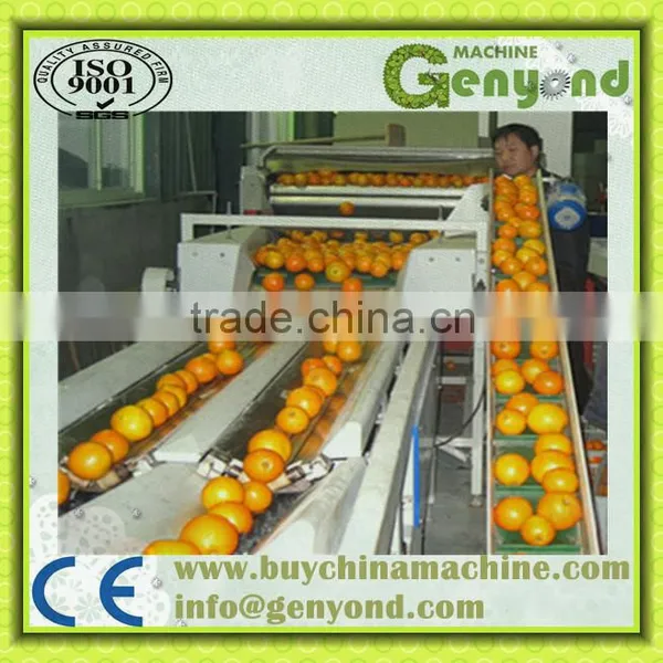 Electronic Fruit Sorter