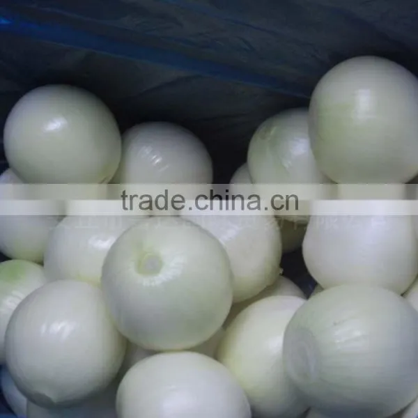 2014 New Crop Fresh Onion Peeled Onion photo-2