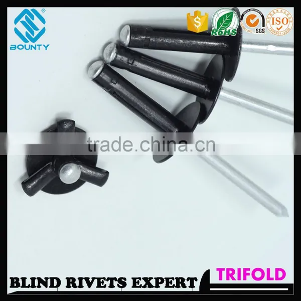 HIGH QUALITY FACTORY BLACK OXIDATION COLOR LOAD SPREADING RIVETS FOR GLASS CURTAIN WALL photo-3
